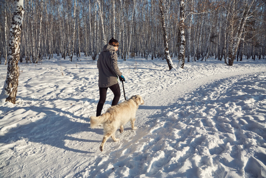 Man walking dog in the winter