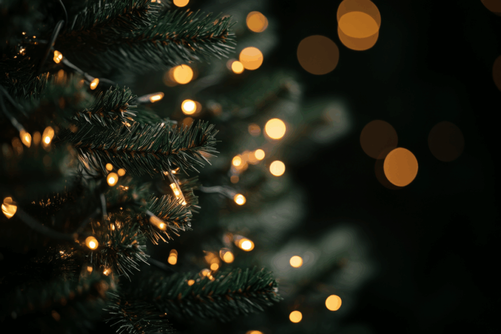 Lights of Love tree at Mahnomen Health 2025